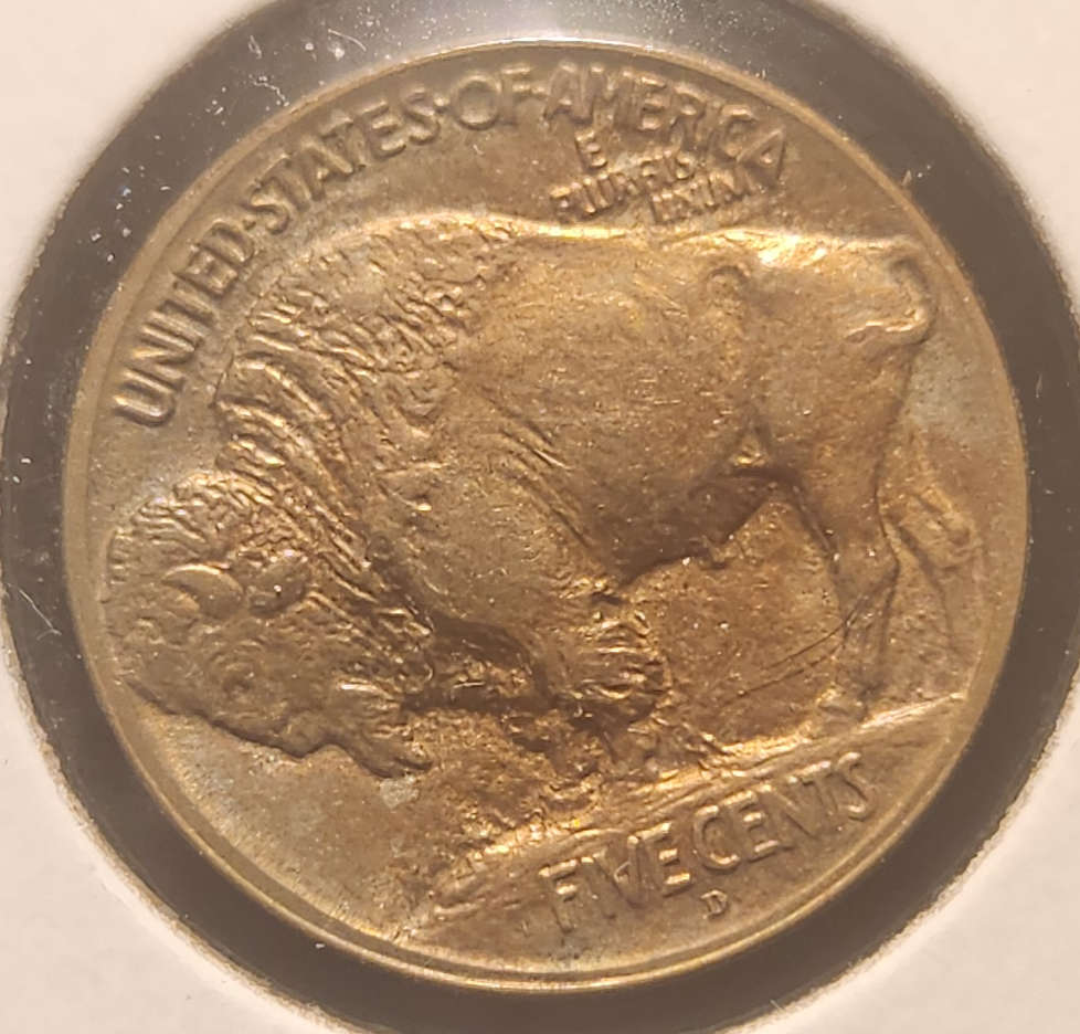 1913D Buffalo Nickel