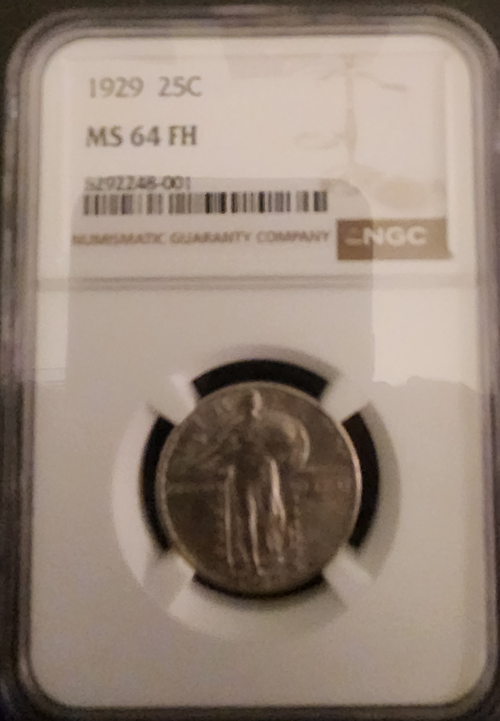 1929 Standing Liberty Quarter