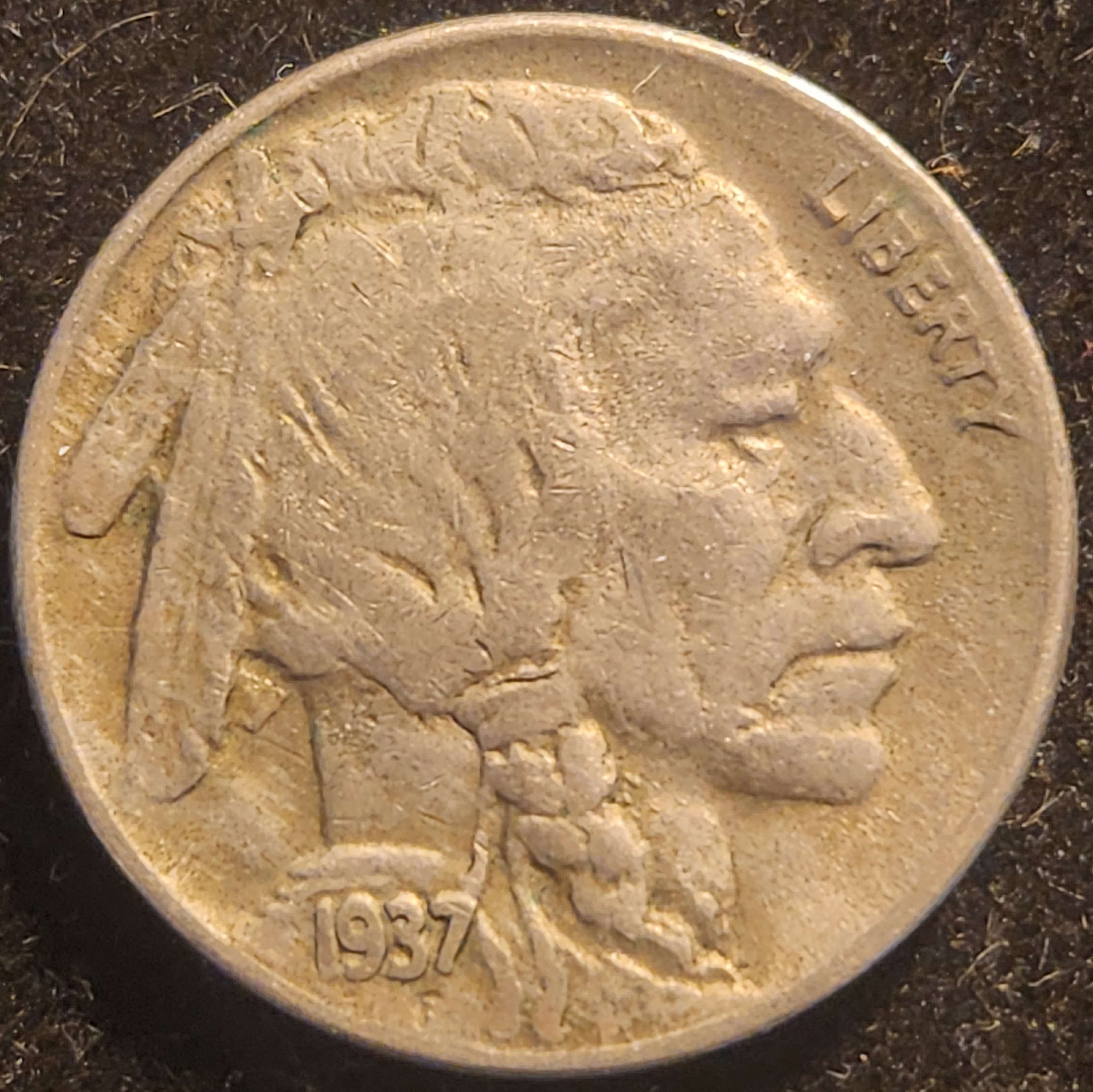 1937D Buffalo Nickel