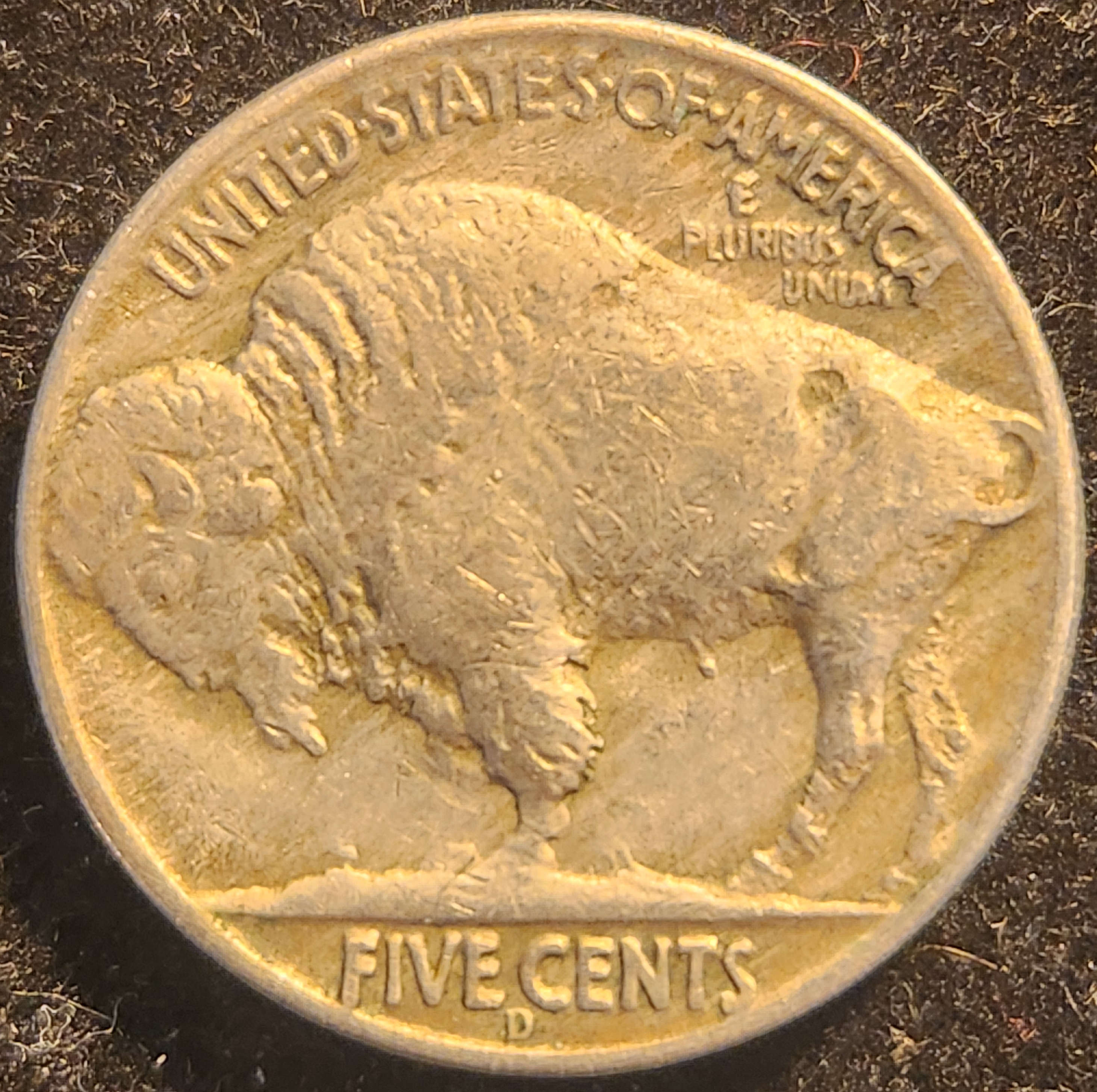 1937D Buffalo Nickel