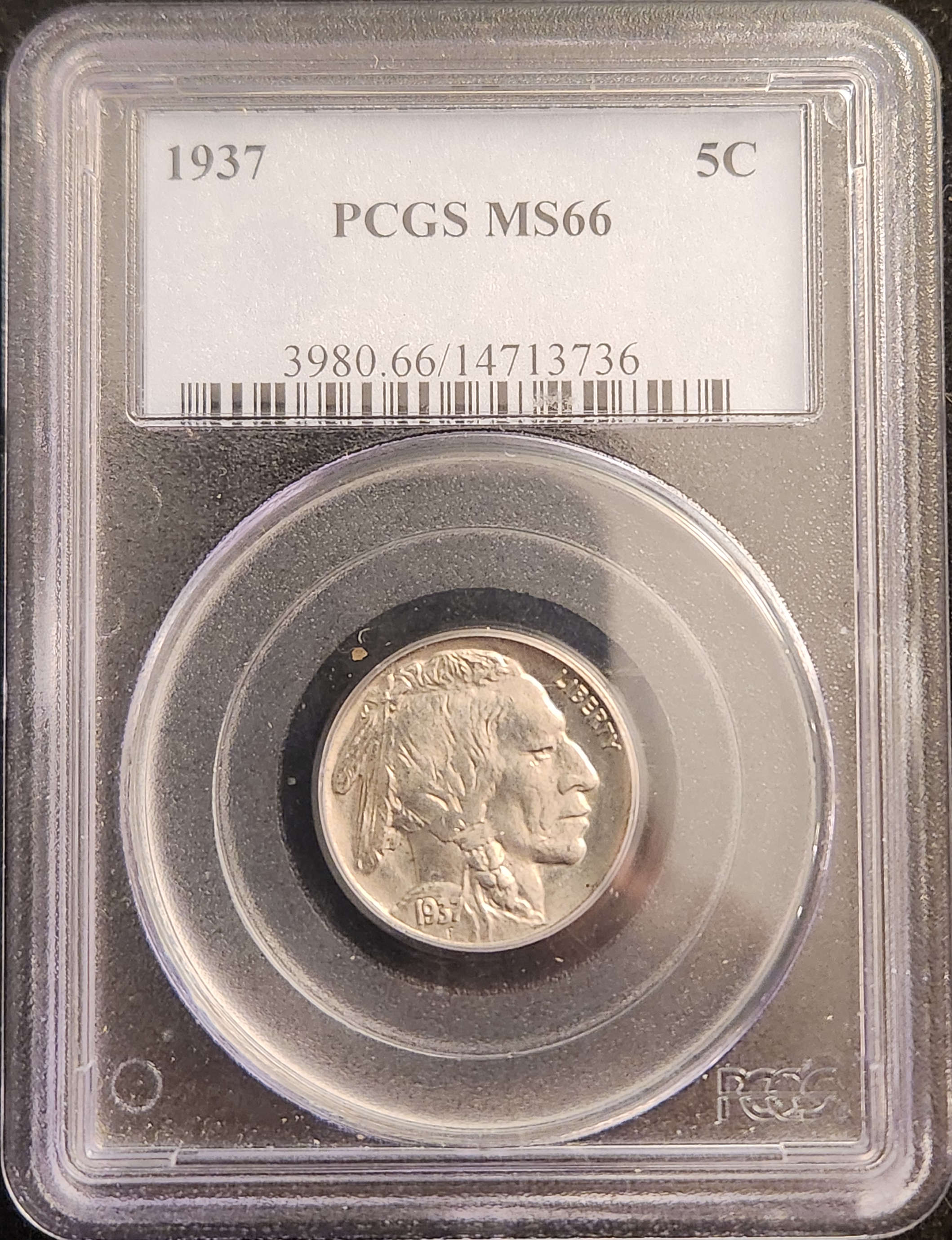 1937 Buffalo Nickel